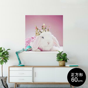 |X^[ EH[XebJ[ V[XebJ[  60×60cm Msize `  CeA @ wall sticker poster 002570 @@ʐ^