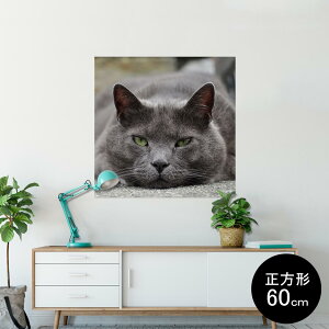 �|�X�^�[ �E�H�[���X�e�b�J�[ �V�[�����X�e�b�J�[ ���� 60×60cm Msize �����` �� �C���e���A �������@�������� wall sticker poster 002650 �L�@�����@�ʐ^