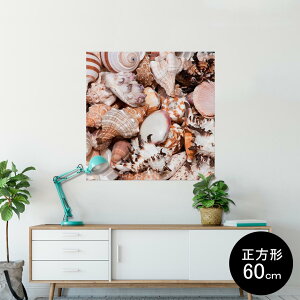 |X^[ EH[XebJ[ V[XebJ[  60×60cm Msize `  CeA @ wall sticker poster 002925 C@Lk@ʐ^