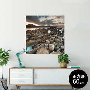 |X^[ EH[XebJ[ V[XebJ[  60×60cm Msize `  CeA @ wall sticker poster 003281 N[ O@ʐ^@iF@i