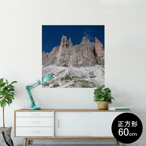 |X^[ EH[XebJ[ V[XebJ[  60×60cm Msize `  CeA @ wall sticker poster 003287 N[ O@ʐ^@iF@i