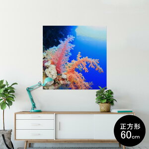 |X^[ EH[XebJ[ V[XebJ[  60×60cm Msize `  CeA @ wall sticker poster 003341 C@ʐ^@iF@i