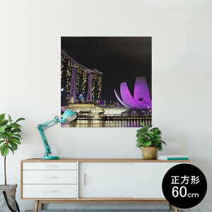 |X^[ EH[XebJ[ V[XebJ[  60×60cm Msize `  CeA @ wall sticker poster 003454 O@ʐ^@iF@i