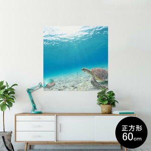 |X^[ EH[XebJ[ V[XebJ[  60×60cm Msize `  CeA @ wall sticker poster 004605 E~K@C@ʐ^