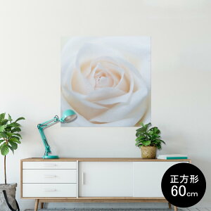 �|�X�^�[ �E�H�[���X�e�b�J�[ �V�[�����X�e�b�J�[ ���� 90×90cm Lsize �����` �� �C���e���A �������@�������� wall sticker poster 005080 ���@�K�N�@�ʐ^