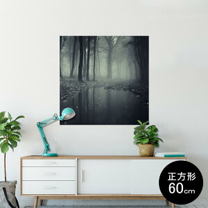 |X^[ EH[XebJ[ V[XebJ[  60×60cm Msize `  CeA @ wall sticker poster 005900 ʐ^@X@