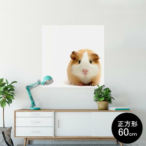 |X^[ EH[XebJ[ V[XebJ[  90×90cm Lsize `  CeA @ wall sticker poster 006036 Aj} ʐ^@@nX^[