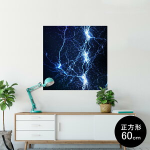 �|�X�^�[ �E�H�[���X�e�b�J�[ �V�[�����X�e�b�J�[ ���� 60×60cm Msize �����` �� �C���e���A �������@�������� wall sticker poster 006500 ���@�@�u���[