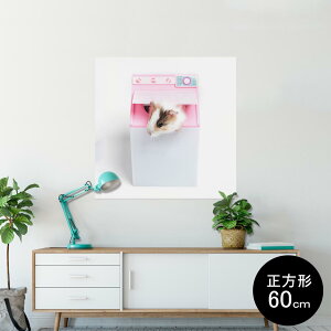 |X^[ EH[XebJ[ V[XebJ[  60×60cm Msize `  CeA @ wall sticker poster 006501 Aj} ʐ^@nX^[@