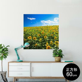 ポスター ウォールステッカー シール式ステッカー 飾り 60×60cm Msize 正方形 壁 インテリア おしゃれ　剥がせる wall sticker poster 007936 写真　花　　向日葵　ひまわり