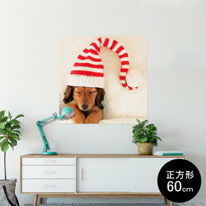 |X^[ EH[XebJ[ V[XebJ[  90×90cm Lsize `  CeA @ wall sticker poster 008439 ʐ^@@Xq@ԁ@bh