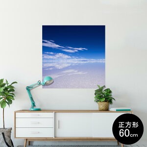 |X^[ EH[XebJ[ V[XebJ[  90×90cm Lsize `  CeA @ wall sticker poster 009610 i@@C@ʐ^