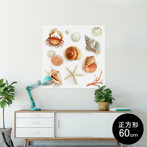 |X^[ EH[XebJ[ V[XebJ[  60×60cm Msize `  CeA @ wall sticker poster 009662 Lk@C@l