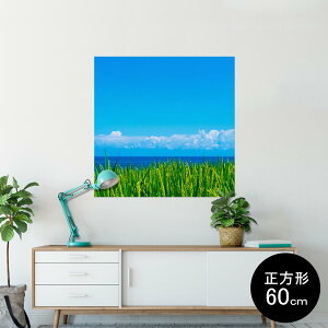 |X^[ EH[XebJ[ V[XebJ[  90×90cm Lsize `  CeA @ wall sticker poster 009748 i@@C@ʐ^