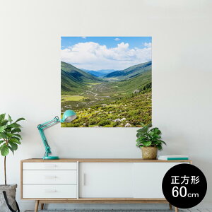|X^[ EH[XebJ[ V[XebJ[  60×60cm Msize `  CeA @ wall sticker poster 009763 i@iF@ʐ^