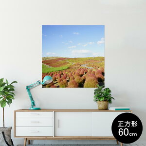 |X^[ EH[XebJ[ V[XebJ[  60×60cm Msize `  CeA @ wall sticker poster 009816 i@iF@ʐ^