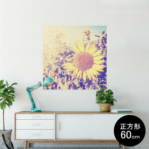 |X^[ EH[XebJ[ V[XebJ[  60×60cm Msize `  CeA @ wall sticker poster 011309 ԁ@Ђ܂@ʐ^