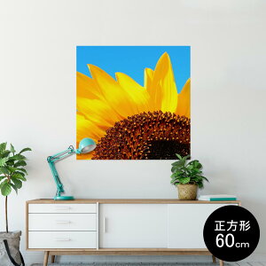 |X^[ EH[XebJ[ V[XebJ[  90×90cm Lsize `  CeA @ wall sticker poster 011439 ԁ@Ђ܂@ʐ^