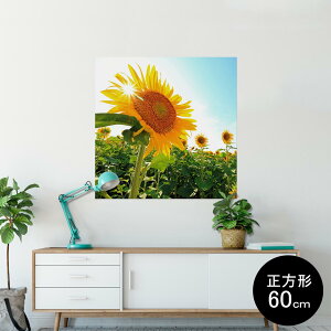 |X^[ EH[XebJ[ V[XebJ[  90×90cm Lsize `  CeA @ wall sticker poster 011440 ԁ@Ђ܂@ʐ^