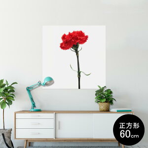 |X^[ EH[XebJ[ V[XebJ[  60×60cm Msize `  CeA @ wall sticker poster 012928 ̓@J[l[V@