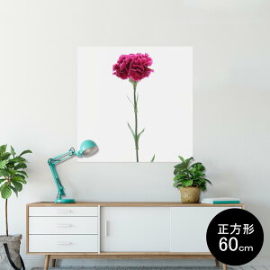 |X^[ EH[XebJ[ V[XebJ[  60×60cm Msize `  CeA @ wall sticker poster 012933 ̓@J[l[V@