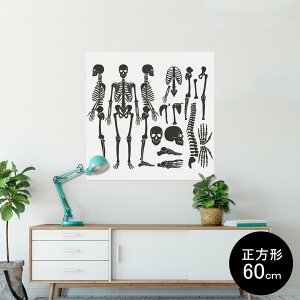 |X^[ EH[XebJ[ V[XebJ[  60×60cm Msize `  CeA @ wall sticker poster 013822 [@͌^