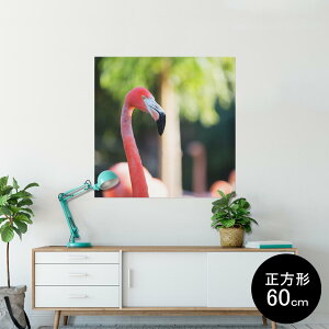 |X^[ EH[XebJ[ V[XebJ[  90×90cm Lsize `  CeA @ wall sticker poster 014986 i@ʐ^@@t~S@