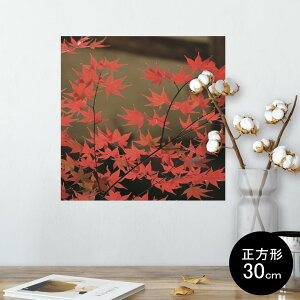 |X^[ EH[XebJ[ V[XebJ[  30×30cm Ssize `  CeA @ wall sticker poster 000139 H@݂@i@gt