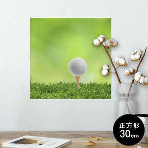 |X^[ EH[XebJ[ V[XebJ[  30×30cm Ssize `  CeA @ wall sticker poster 000218 St@Vbg@Ő