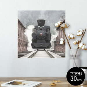 |X^[ EH[XebJ[ V[XebJ[  30×30cm Ssize `  CeA @ wall sticker poster 000887 @֎ԁ@d