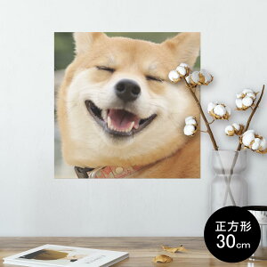 |X^[ EH[XebJ[ V[XebJ[  30×30cm Ssize `  CeA @ wall sticker poster 000926 @Č