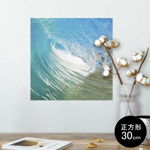 |X^[ EH[XebJ[ V[XebJ[  30×30cm Ssize `  CeA @ wall sticker poster 001163 g@T[tB
