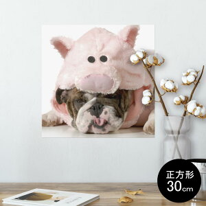 �|�X�^�[ �E�H�[���X�e�b�J�[ �V�[�����X�e�b�J�[ ���� 30×30cm Ssize �����` �� �C���e���A �������@�������� wall sticker poster 001228 ���@�u�^�@����