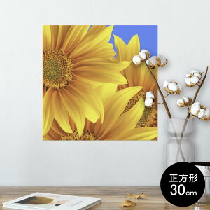 |X^[ EH[XebJ[ V[XebJ[  30×30cm Ssize `  CeA @ wall sticker poster 001397 Ђ܂