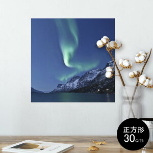 |X^[ EH[XebJ[ V[XebJ[  30×30cm Ssize `  CeA @ wall sticker poster 002450 I[@iF@i