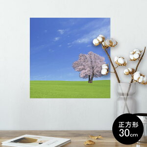 |X^[ EH[XebJ[ V[XebJ[  30×30cm Ssize `  CeA @ wall sticker poster 002466 iF@i@