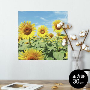 |X^[ EH[XebJ[ V[XebJ[  30×30cm Ssize `  CeA @ wall sticker poster 002501 ԁ@Ђ܂@ʐ^