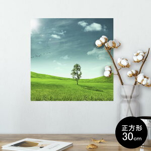 |X^[ EH[XebJ[ V[XebJ[  30×30cm Ssize `  CeA @ wall sticker poster 002526 iF@i@ʐ^