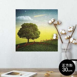 |X^[ EH[XebJ[ V[XebJ[  30×30cm Ssize `  CeA @ wall sticker poster 002555 iF@i@CXg