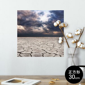 |X^[ EH[XebJ[ V[XebJ[  30×30cm Ssize `  CeA @ wall sticker poster 002578 iF@i@ʐ^
