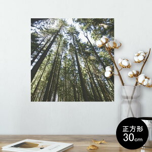 ポスター ウォールステッカー シール式ステッカー 飾り 30×30cm Ssize 正方形 壁 インテリア おしゃれ 剥がせる wall sticker poster 002581 景色 風景 写真