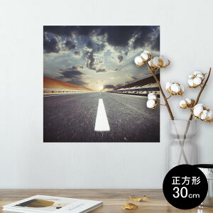 |X^[ EH[XebJ[ V[XebJ[  30×30cm Ssize `  CeA @ wall sticker poster 002583 iF@i@ʐ^