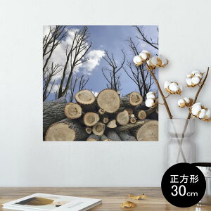 |X^[ EH[XebJ[ V[XebJ[  30×30cm Ssize `  CeA @ wall sticker poster 002647 iF@i@ʐ^