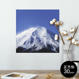 |X^[ EH[XebJ[ V[XebJ[  30×30cm Ssize `  CeA @ wall sticker poster 002740 iF@i@ʐ^