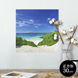 |X^[ EH[XebJ[ V[XebJ[  30×30cm Ssize `  CeA @ wall sticker poster 002777 ā@C@ʐ^