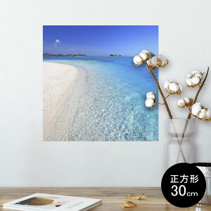 |X^[ EH[XebJ[ V[XebJ[  30×30cm Ssize `  CeA @ wall sticker poster 002778 ā@C@ʐ^