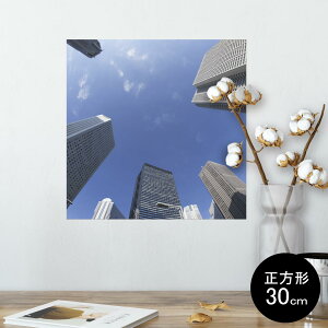 |X^[ EH[XebJ[ V[XebJ[  30×30cm Ssize `  CeA @ wall sticker poster 002792 iF@i@ʐ^