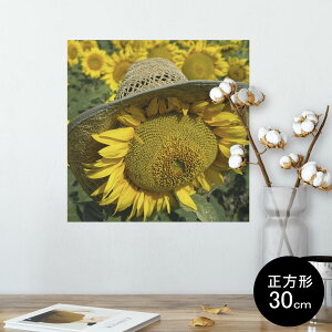 |X^[ EH[XebJ[ V[XebJ[  30×30cm Ssize `  CeA @ wall sticker poster 002800 Ђ܂@ԁ@ʐ^