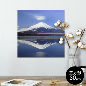 |X^[ EH[XebJ[ V[XebJ[  30×30cm Ssize `  CeA @ wall sticker poster 002812 iF@i@ʐ^
