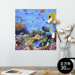 |X^[ EH[XebJ[ V[XebJ[  30×30cm Ssize `  CeA @ wall sticker poster 002823 C@ʐ^@Jt
